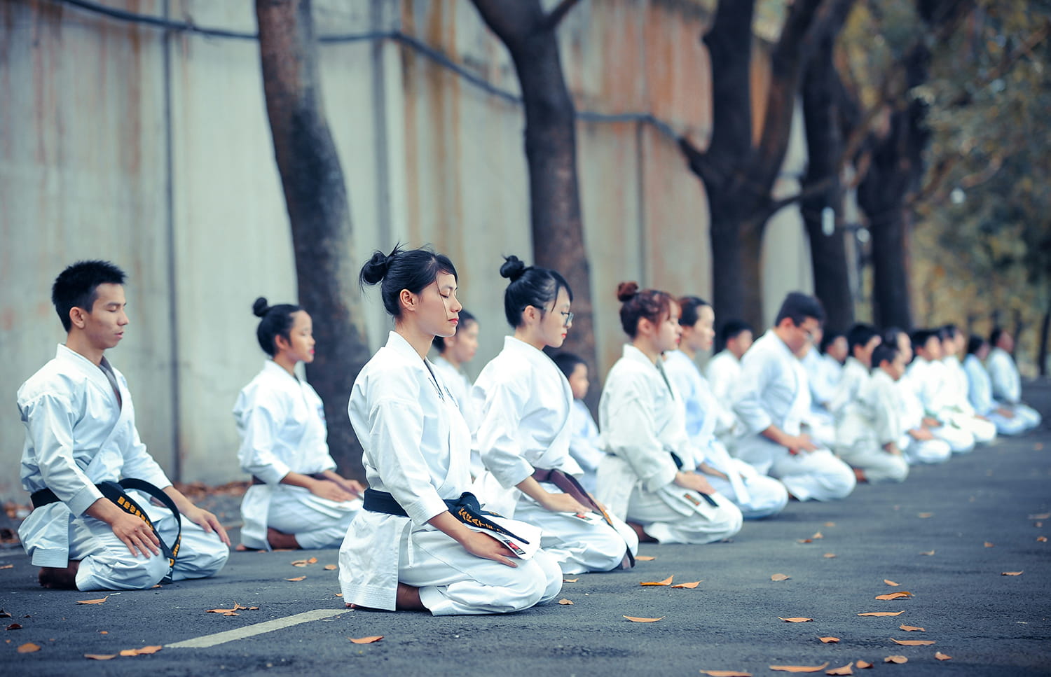 Suzucho KarateDo, Thanh Long Miền Nam